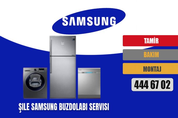 Şile Samsung Buzdolabı Servisi